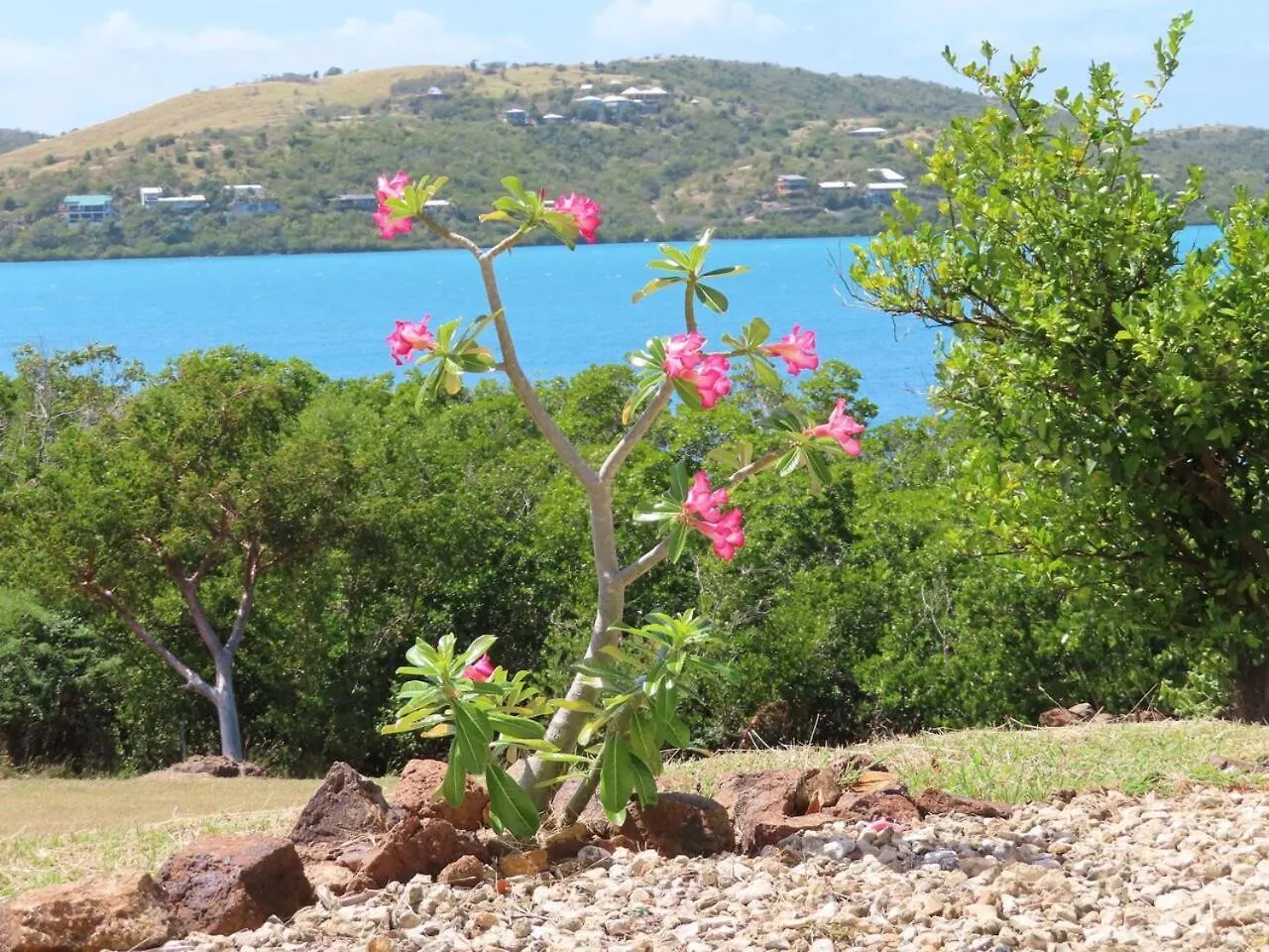 Villa Culebra Ocean Front Marbella Isla Culebra Puerto Rico